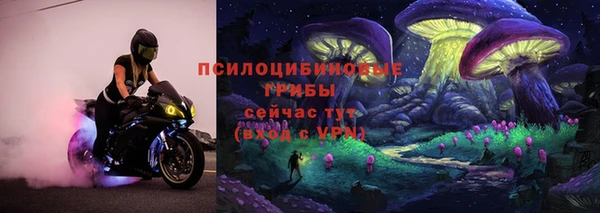 ешки Алексеевка