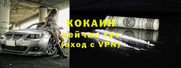 прущие грибы Абдулино