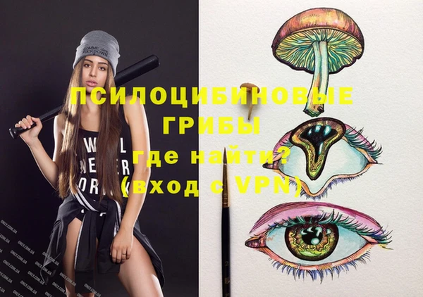 крисы Абаза