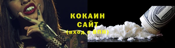 крисы Абаза