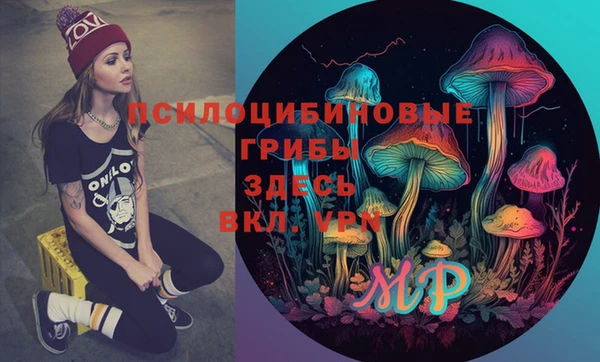твердый Абинск