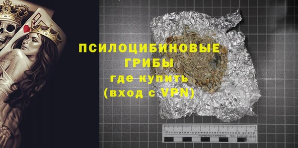 прущие грибы Абдулино