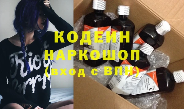крисы Абаза