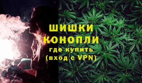 крисы Абаза