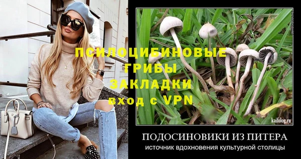 крисы Абаза