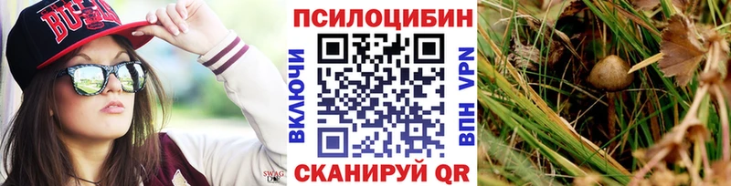 KRAKEN ТОР Новое Девяткино Псилоцибиновые грибы ЛСД продажа наркотиков