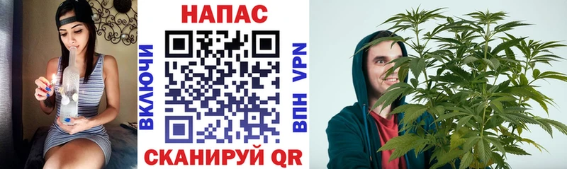 Канабис планчик  Новое Девяткино 